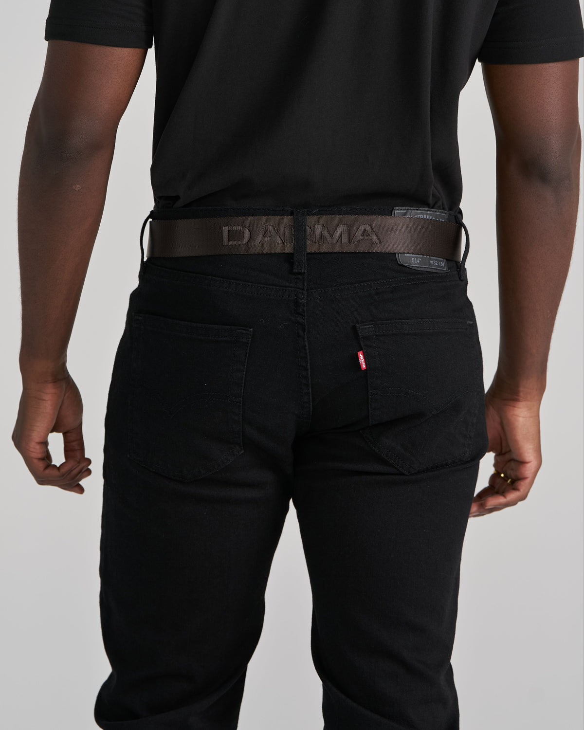 Praxis Belt, Terra